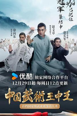 中国武术王中王(全集)