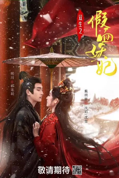 双生之假面妖妃