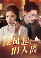 疾风起旧人离
