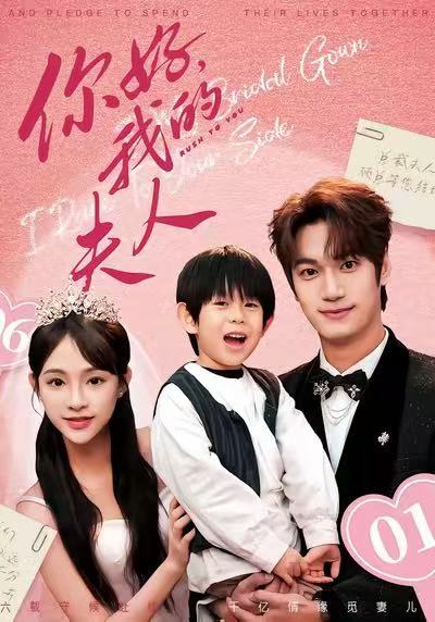 顾总，我才是你的夫人.